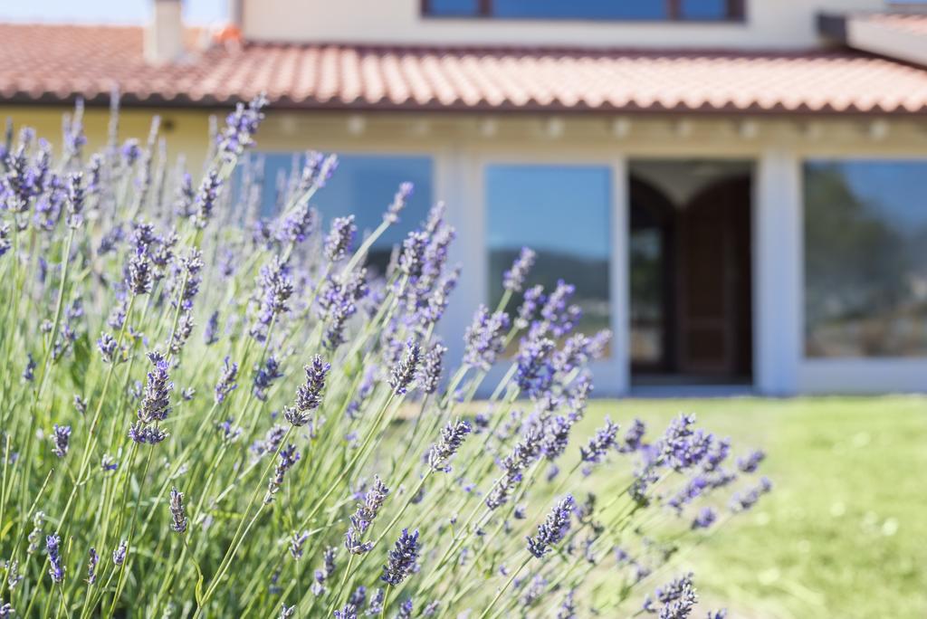 Agriturismo Terre Di Castiglione Castiglione della Pescaia Exteriör bild