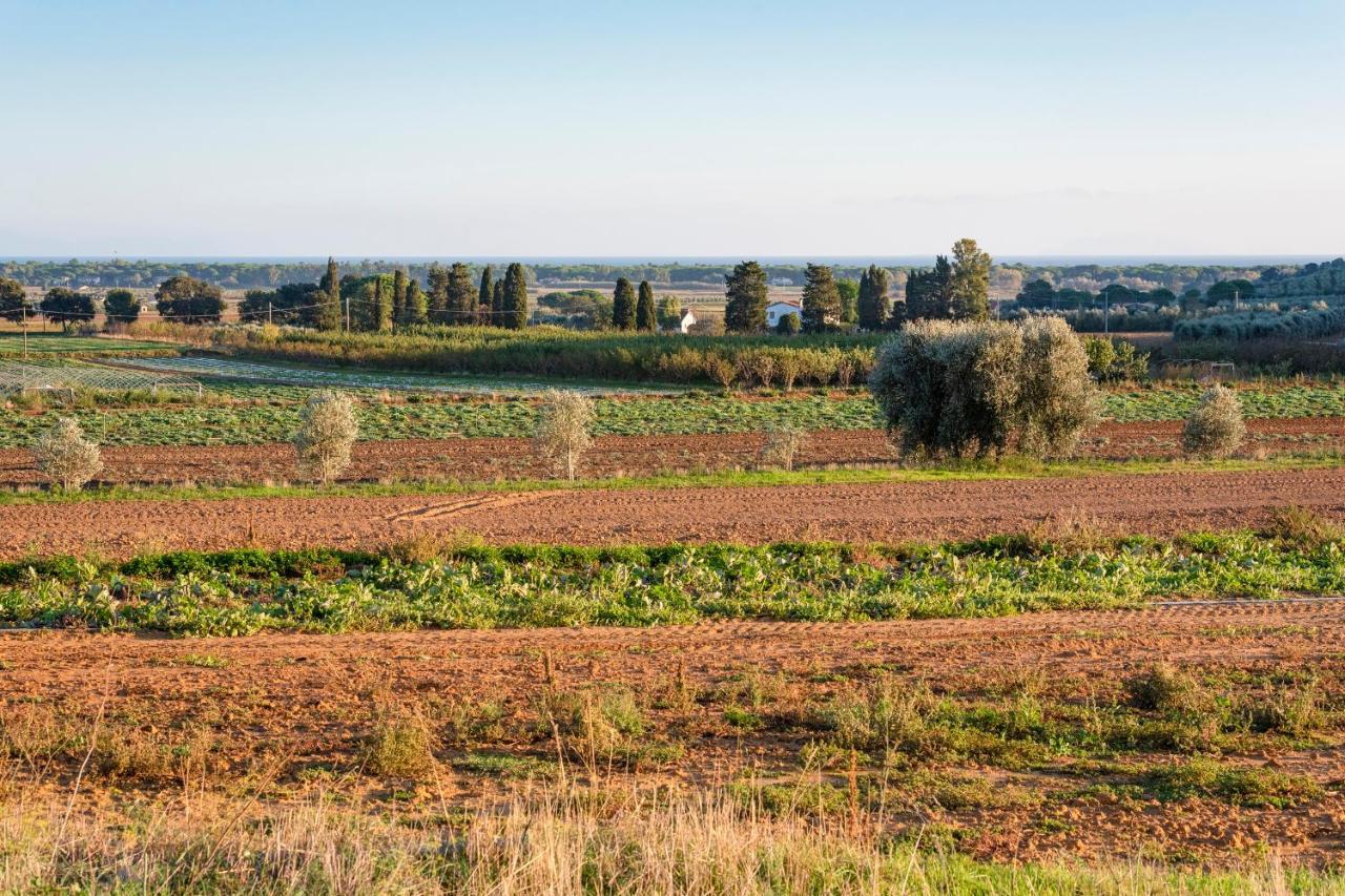 Agriturismo Terre Di Castiglione Castiglione della Pescaia Exteriör bild