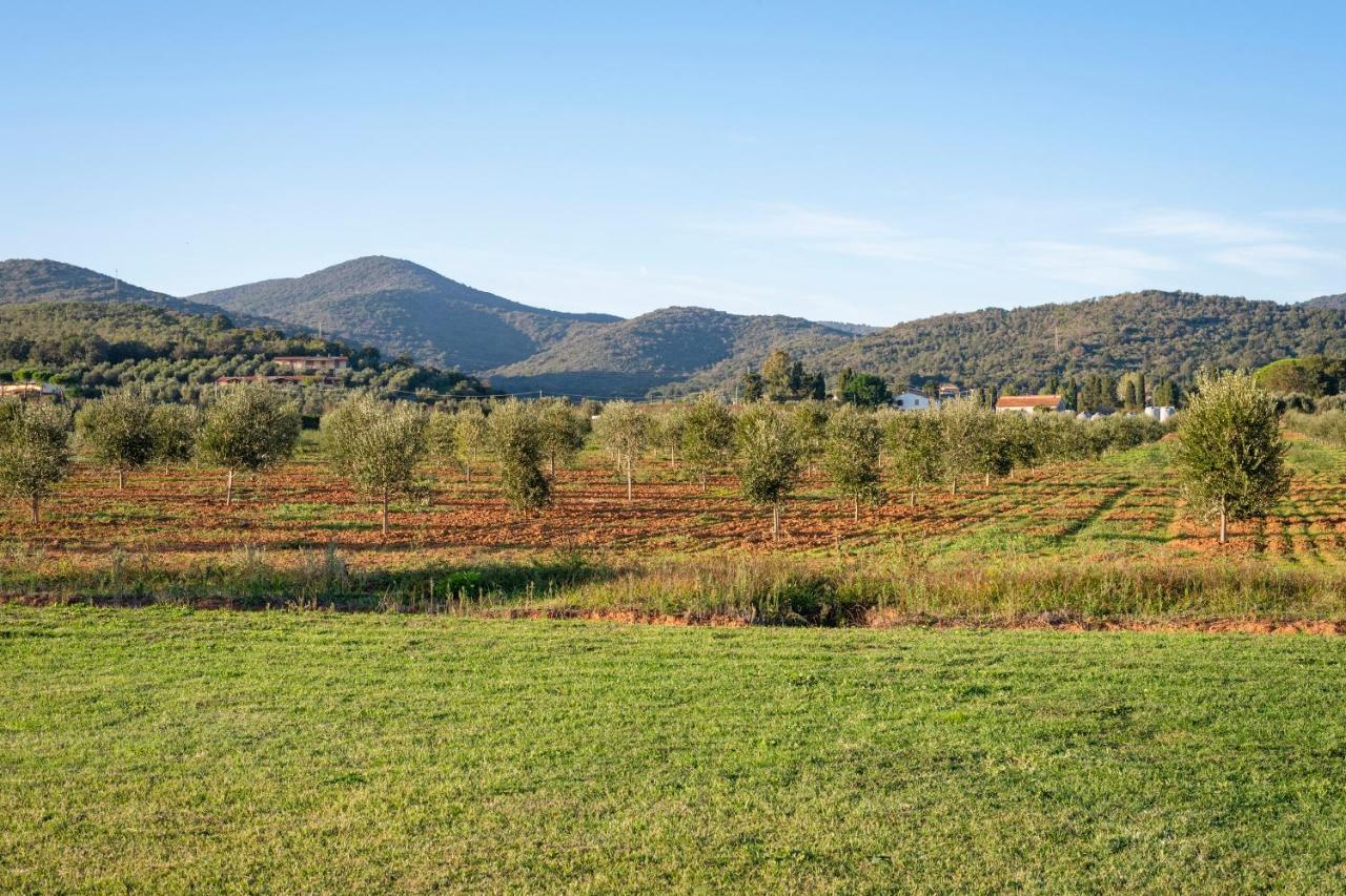 Agriturismo Terre Di Castiglione Castiglione della Pescaia Exteriör bild