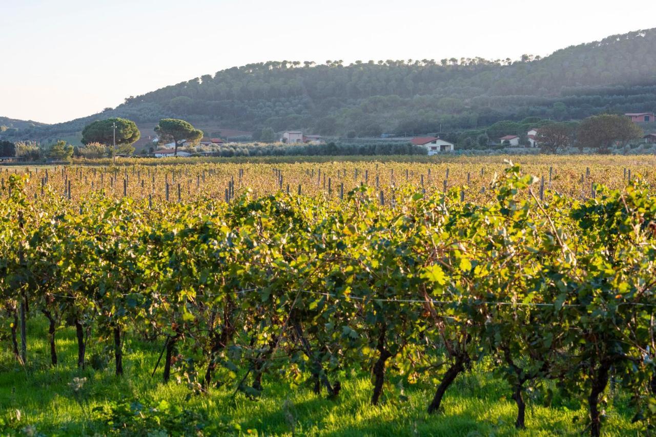 Agriturismo Terre Di Castiglione Castiglione della Pescaia Exteriör bild