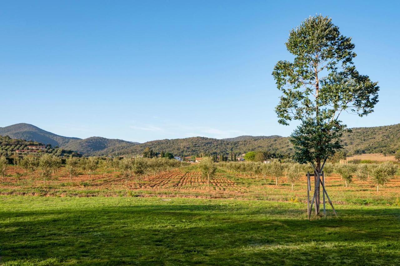 Agriturismo Terre Di Castiglione Castiglione della Pescaia Exteriör bild