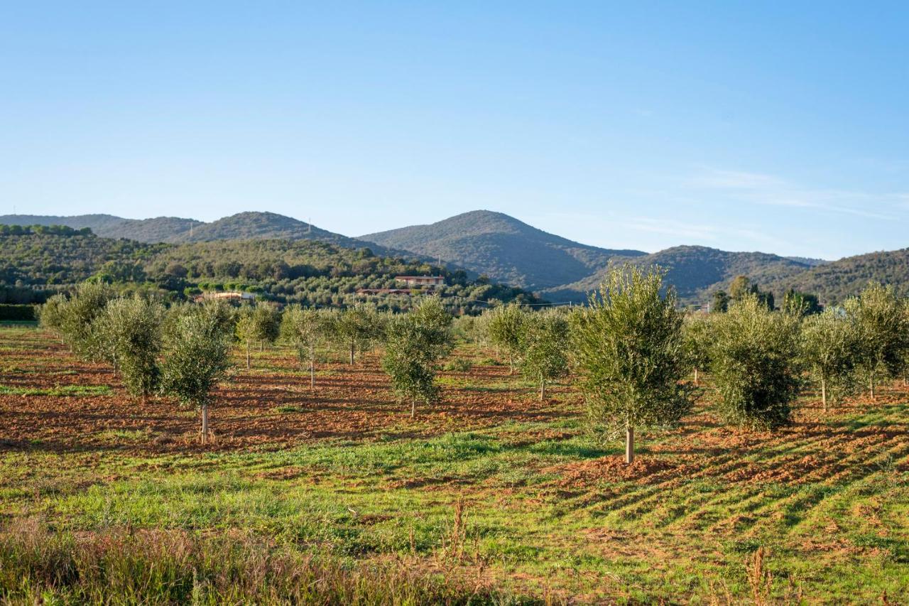 Agriturismo Terre Di Castiglione Castiglione della Pescaia Exteriör bild